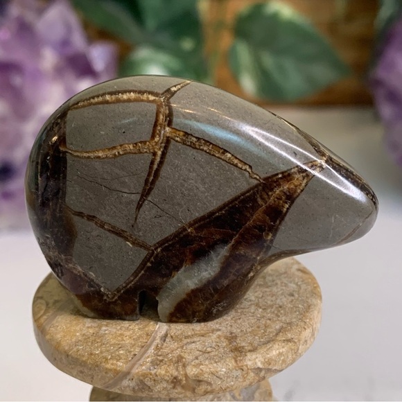 Geode Septarian Nodule Bear Figurine Carved Zuni Style Dragon Stone Carving 2" - Picture 3 of 12